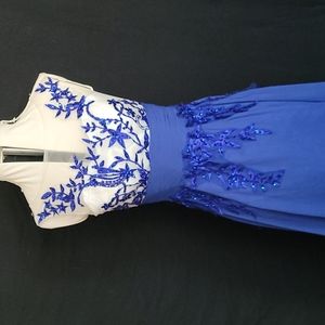 Blue flower applique dress 27" waist